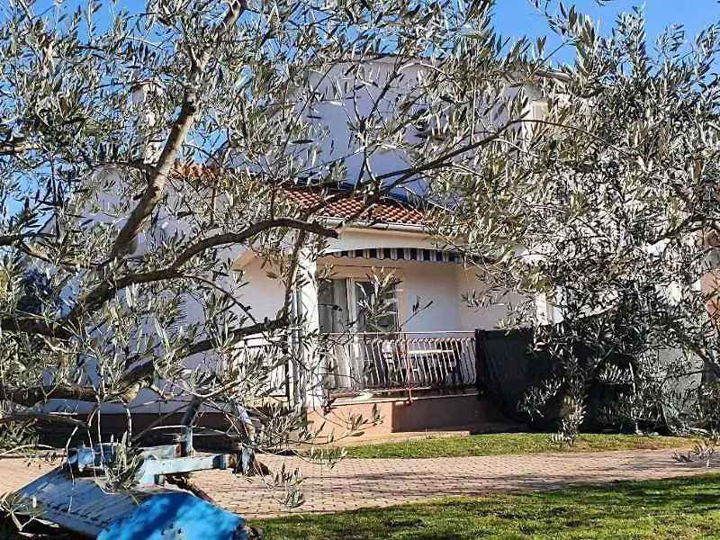 Apartment In Vabriga - Istrien 42525 Tar-Vabriga