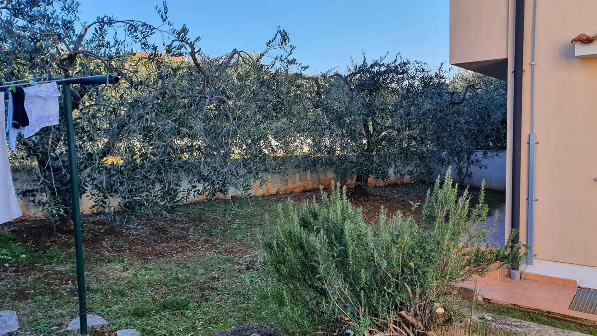 Apartment In Vabriga - Istrien 42525 Tar-Vabriga